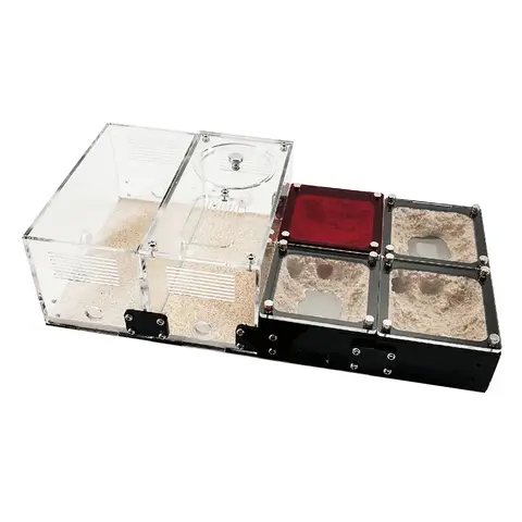 콘크리트 개미 농장 집 무제한 확장 개미 둥지 개미 서식처, 사냥 구역, 보습 곤충 집, 개미 개집