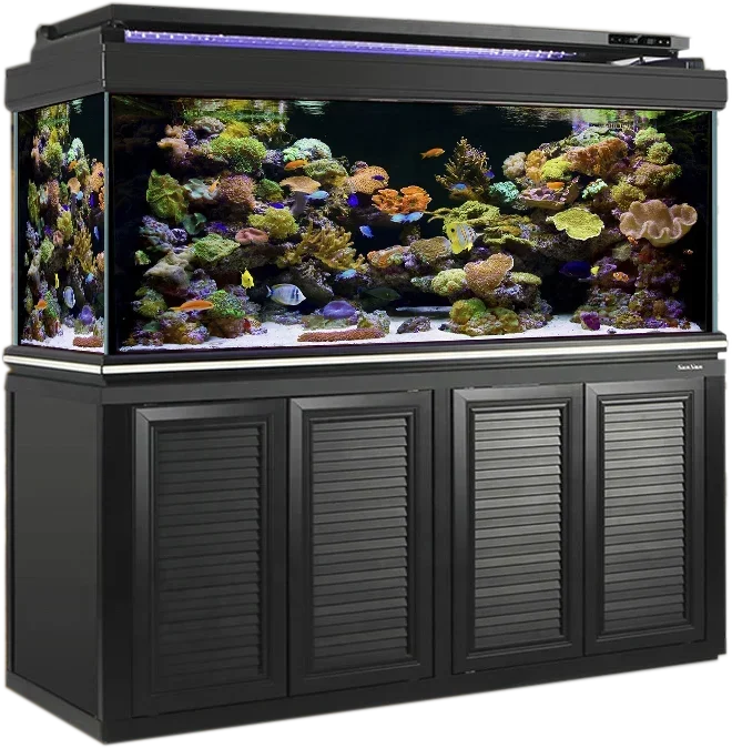 Series Black Aluminum Glass Aquarium With Bottom Filter