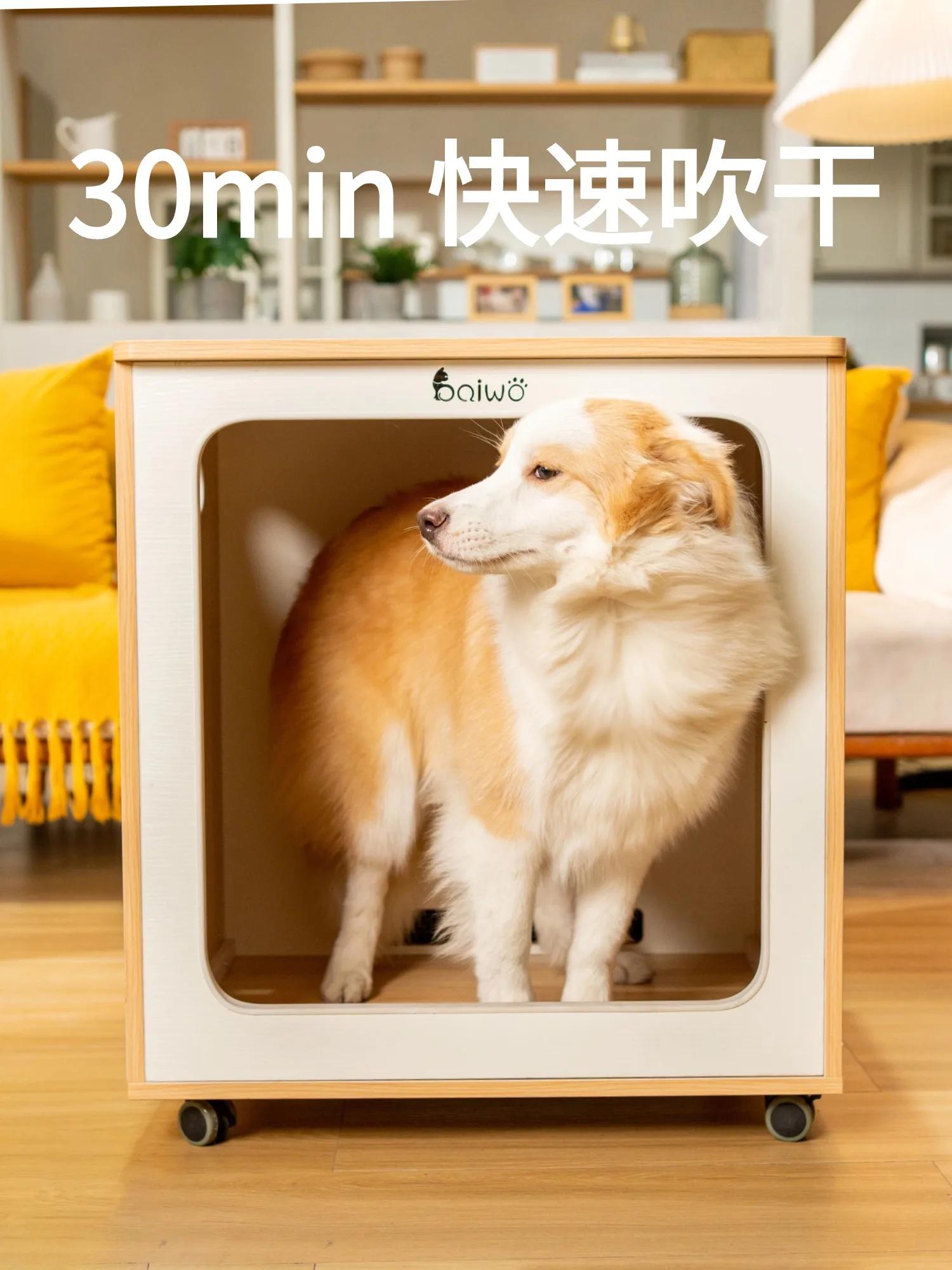 

Dog Dryer Household Small Dog Medium Dog Pet Drying Box Cat Bath Drying Artifact Blowing Water