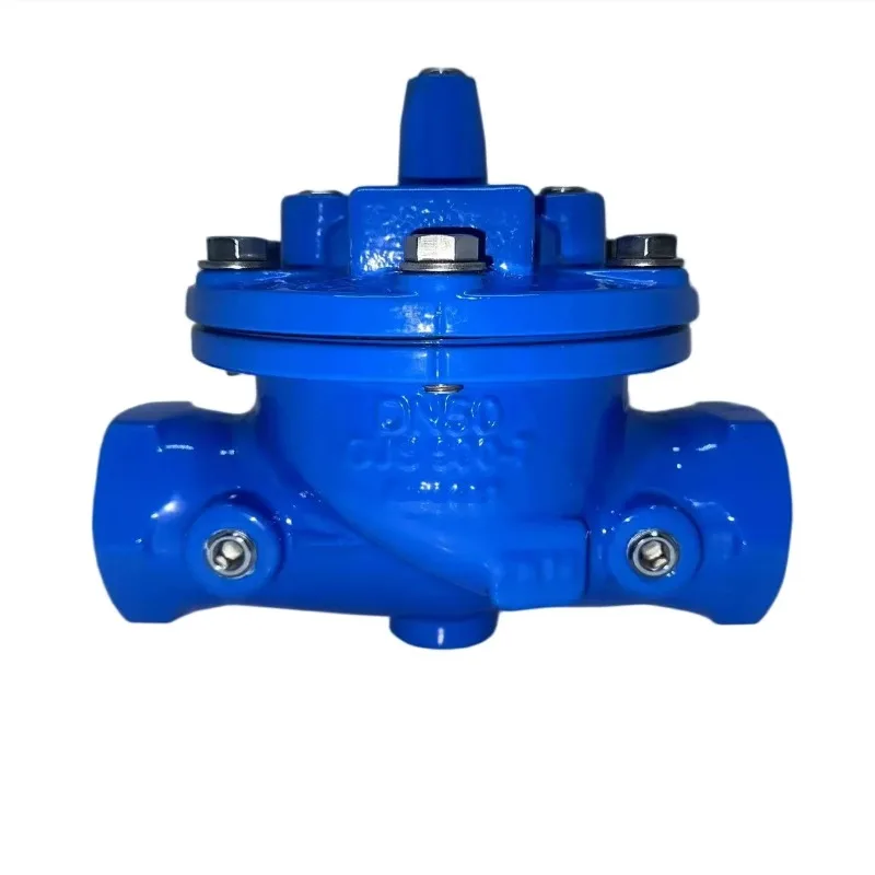 

Customizable 1 1/2\" GJS500-7 Manual Flushing Valve with Control Structure for Water OEM Supported