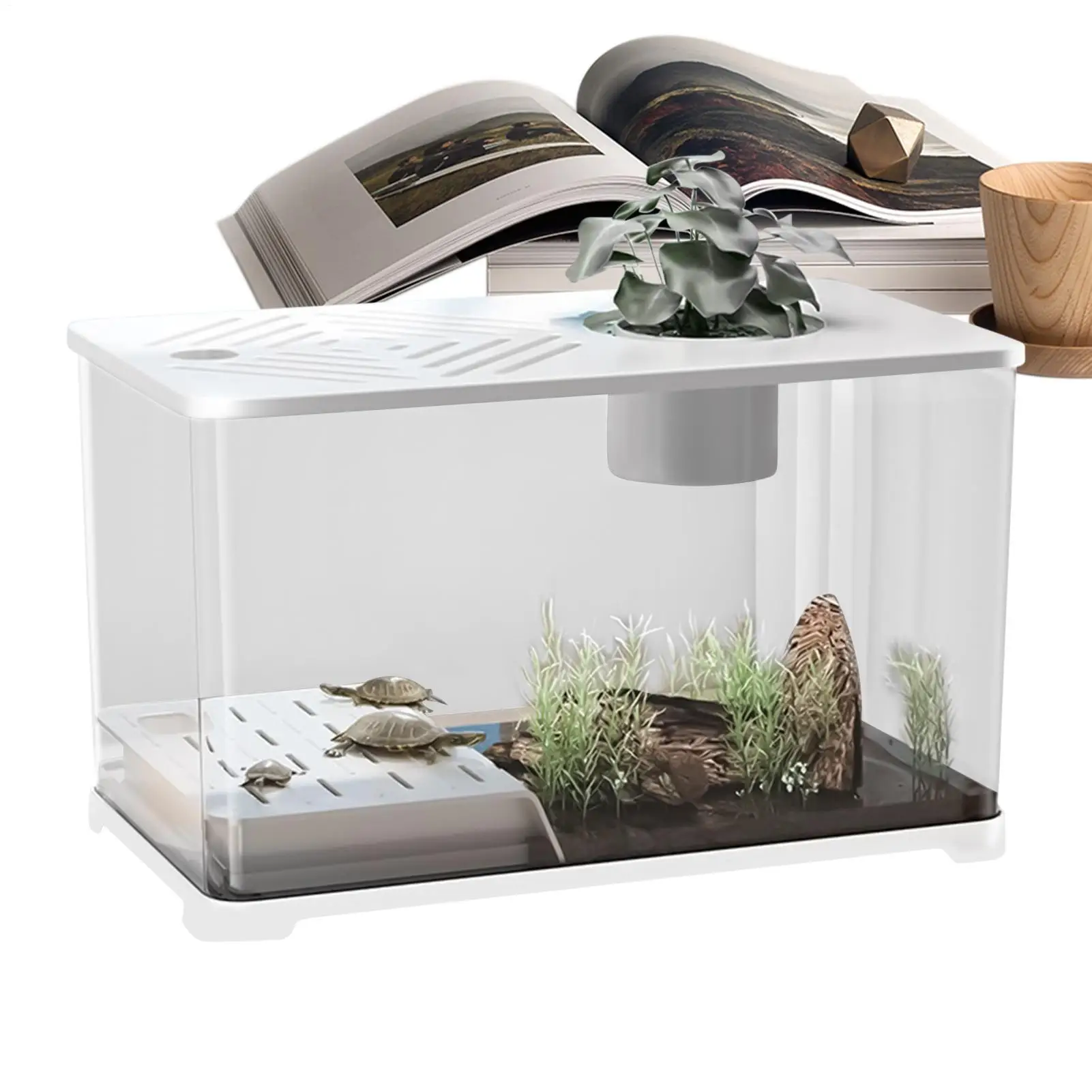 

Betta Fish Tank Large Fish Tank Kit Desktop Aquarium Container Panoramic HD With Turtle Resting Area For Aquatic Planting Guppy