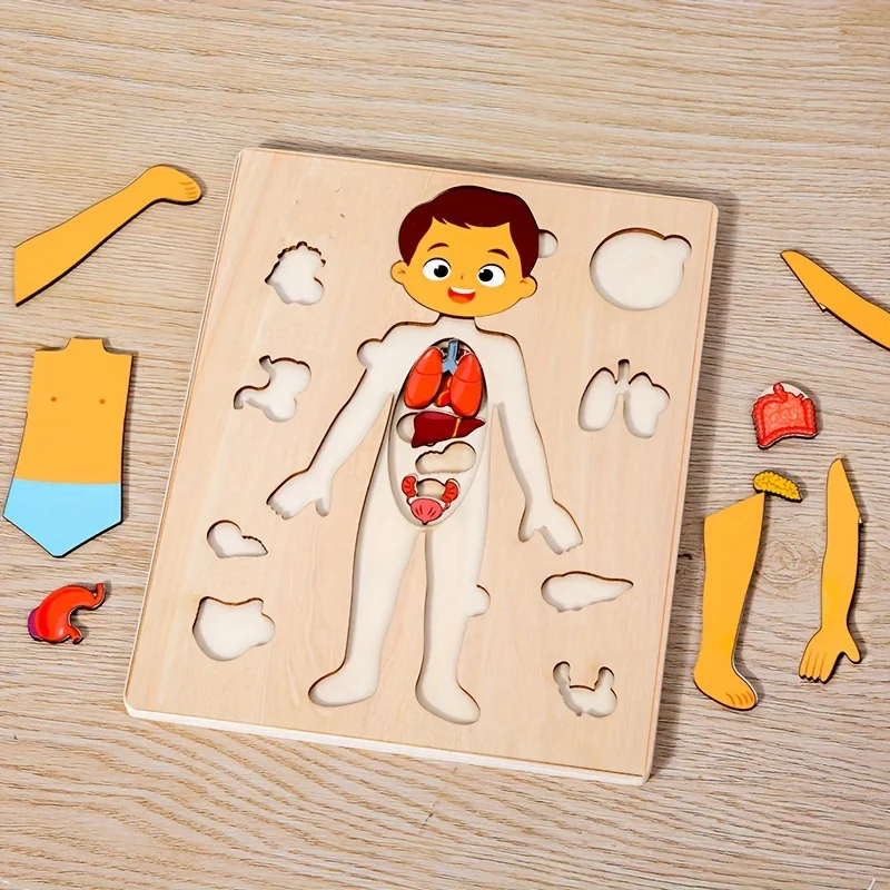 Human Body Puzzles for Kids Wooden Montessori Anatomy Puzzle Play Set Human Body Model Educational Game for Preschoolers