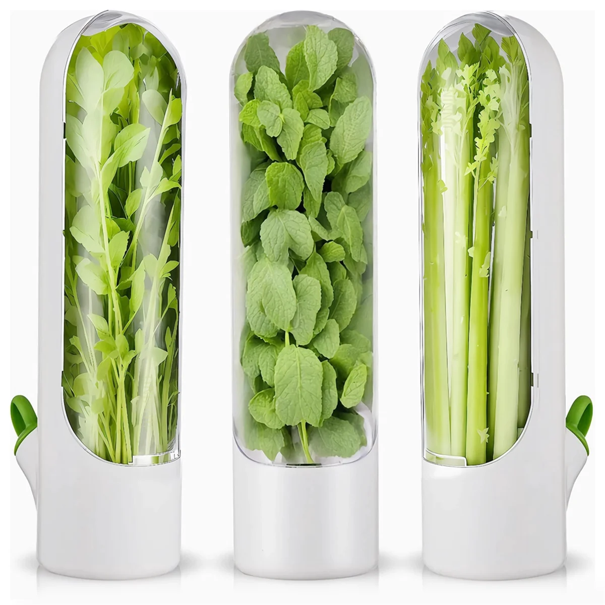 crisper box3PCS Herb Saver for Refrigerator Herb Freshs Keeper for Refrigerator,Herb Storage for Cilantro,Parsley, Asparagus