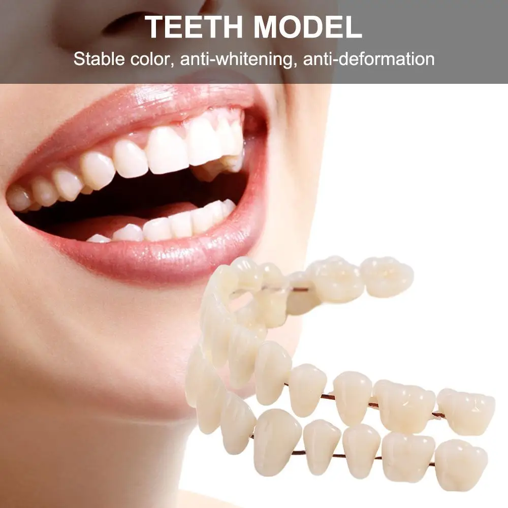 28 Pcs Resin Denture False Teeth Make Your Own Improve Smile Dental Teeth Teaching Model Easy To Use Firm Dental Training Models