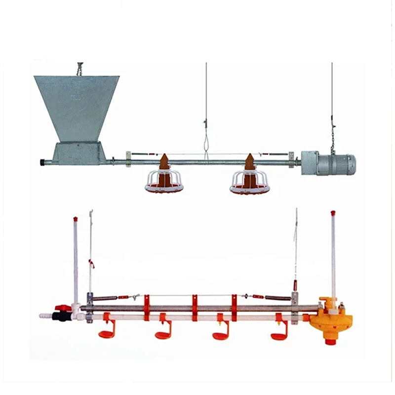 

Automatic chicken house broiler feeding line for poultry farming chicken feeder