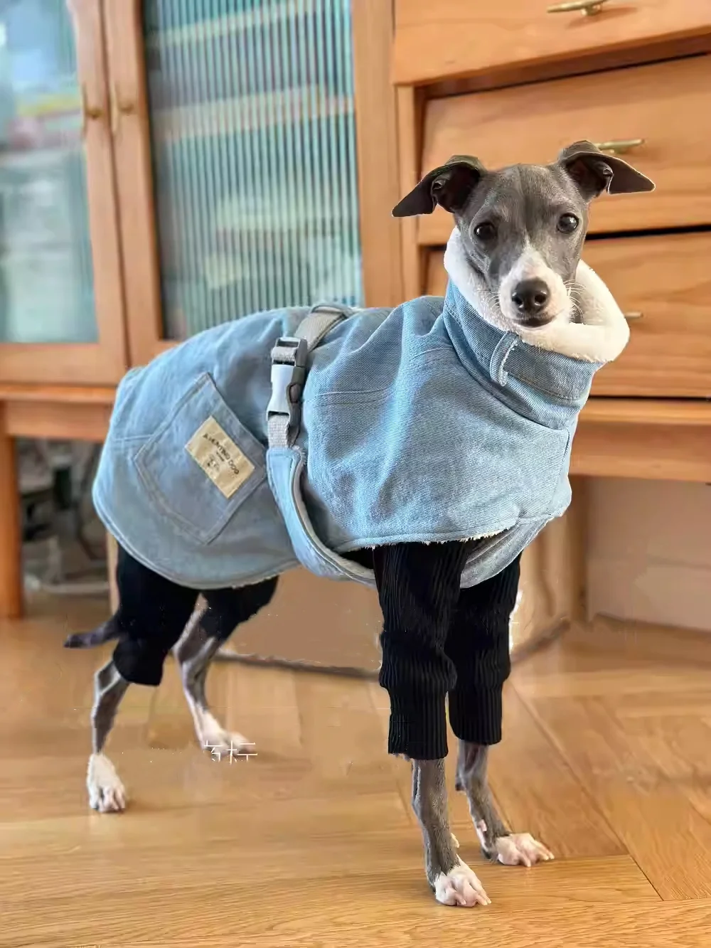 Blue Fleece Cape Denim Jacket for Italy Greyhound Winter Thick Windproof Warm High-Neck Cotton Coat for Whippet Berlington Dogs