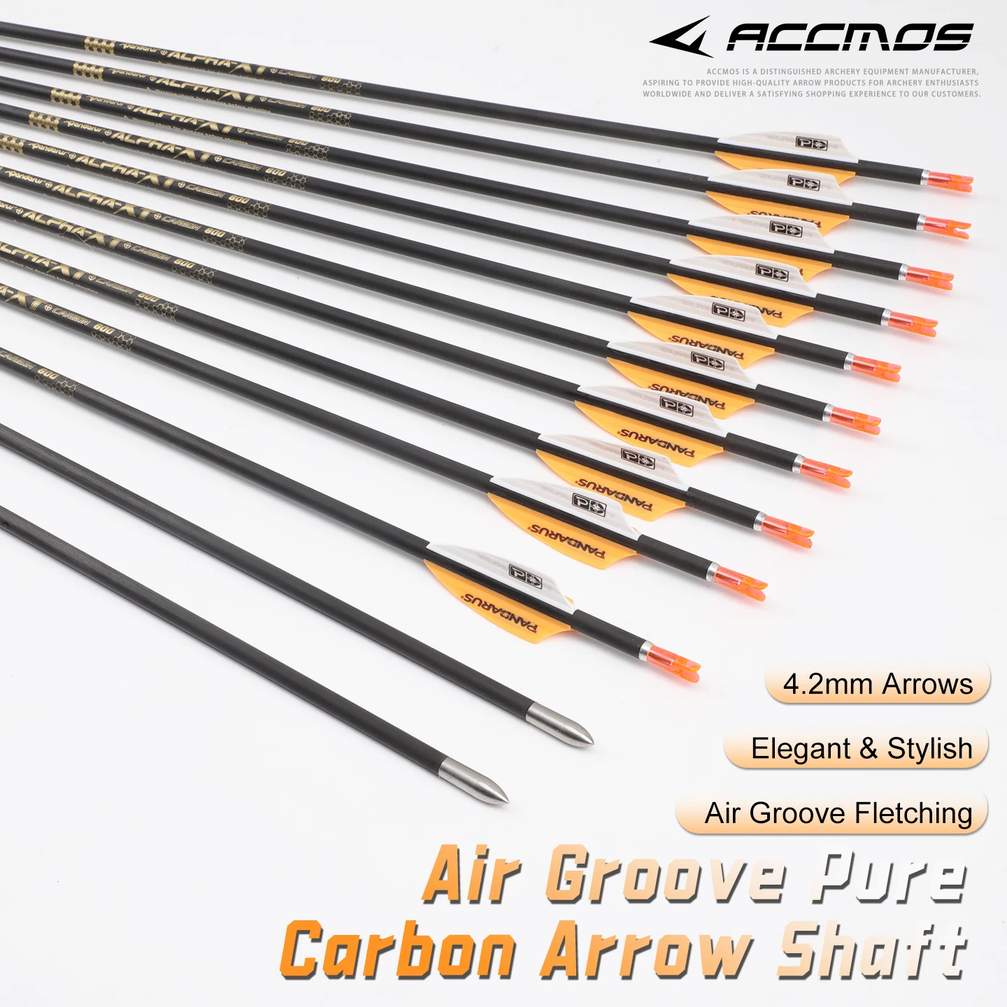 

ACCMOS ID4.2mm 30Inch Pure Carbon Arrows, 120Grain Insert Tips, 1.75" Vanes for Recurve & Compound Bows 12pc