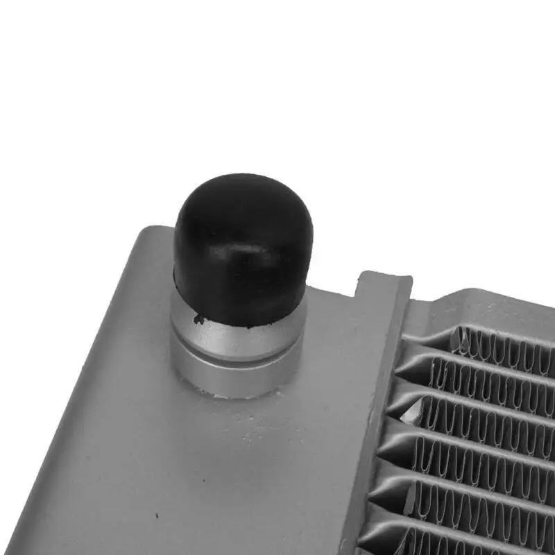 Radiatore per BMW 525i 525Xi 530i 530xi 2006 2007 Auto Trans 17117534914