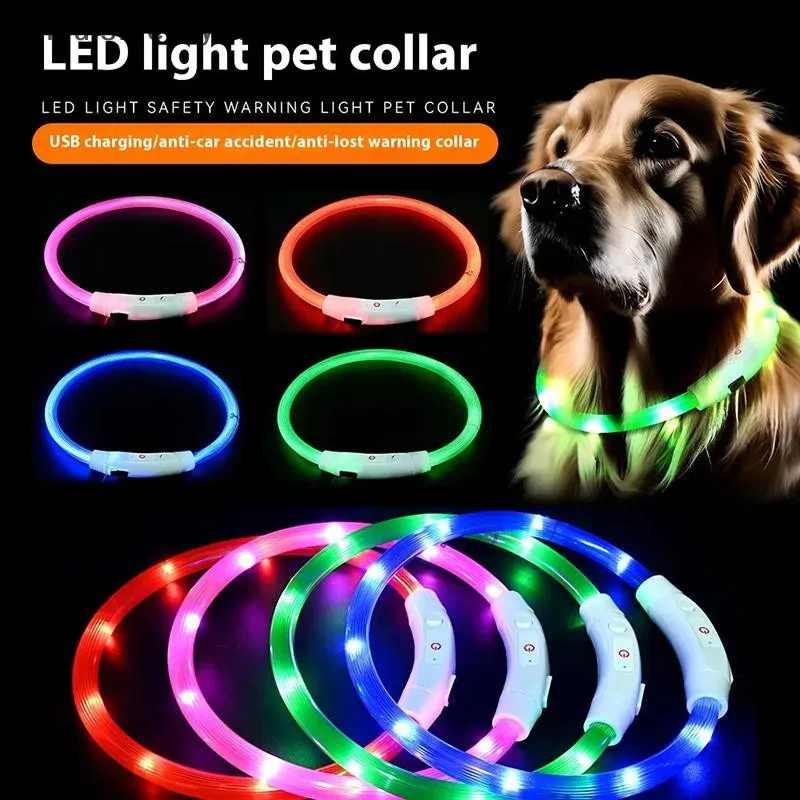 #58 Cheap LED Dog Collars Worth Buying