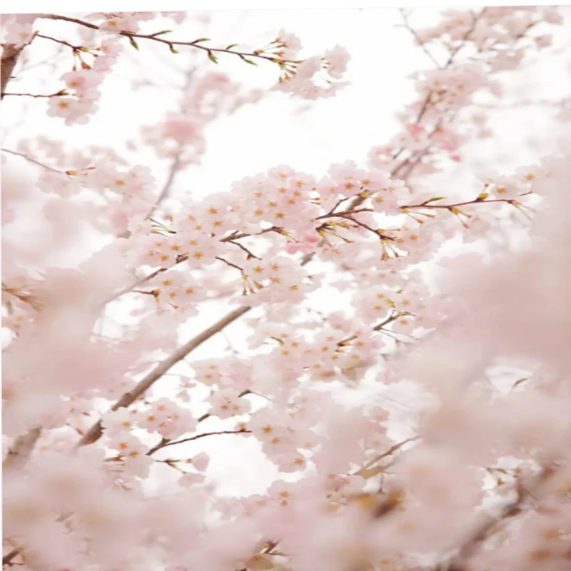 

iFlight Defender 20 2inch Frame Kit Built-in 2inch Propeller Guards for FPV Racing Drone Parts