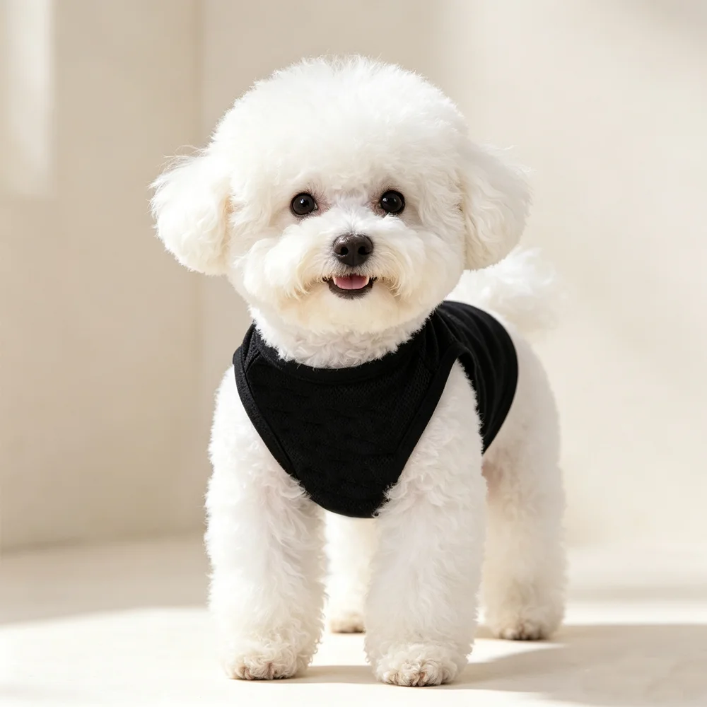 Pet Yaz Nefes Alabilen Yelek S - Summer Dog Clothing incelemesi ve fiyatı
