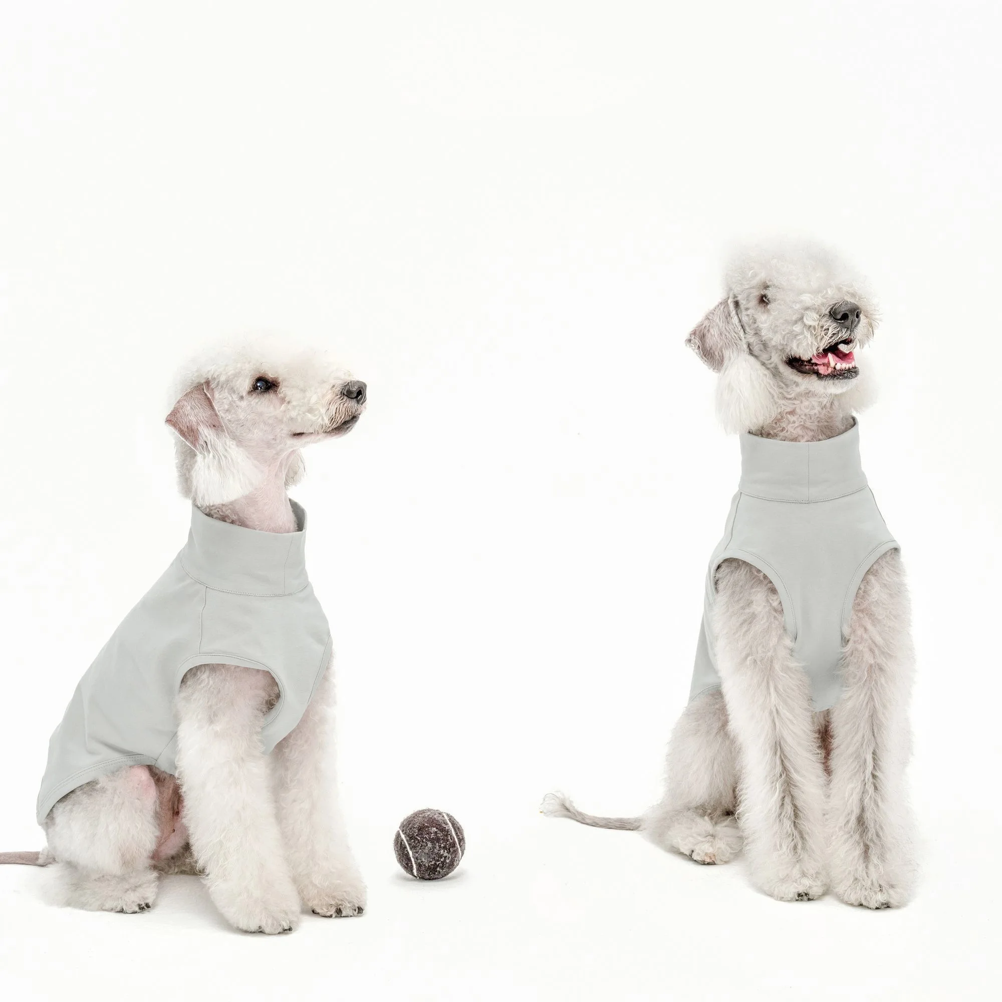 Chaleco refrescante de verano a la moda para Bedlington, ropa suave sin mangas para perro, pijamas elásticos de tela fresca para Whipbit Greyhound Terrier