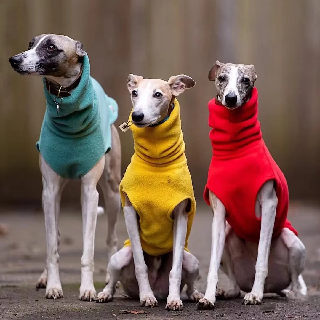 Solid Color Fleece High-neck Winter Vest for Italy Greyhound Stretch Classic Warm Base Layer for Whippet Puppy Spring Costume