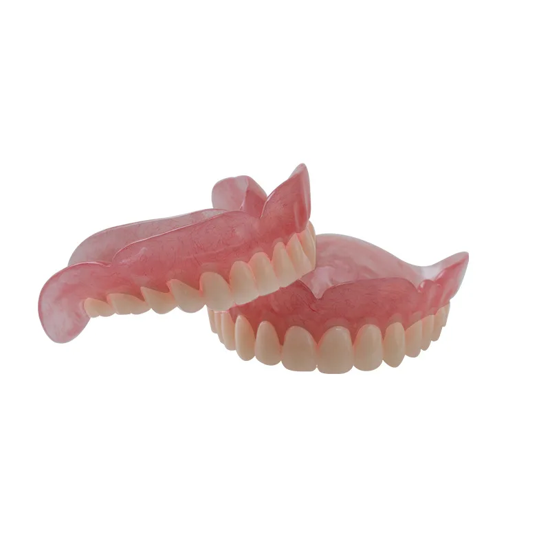 

High-quality hot-selling medical dentals display model for education