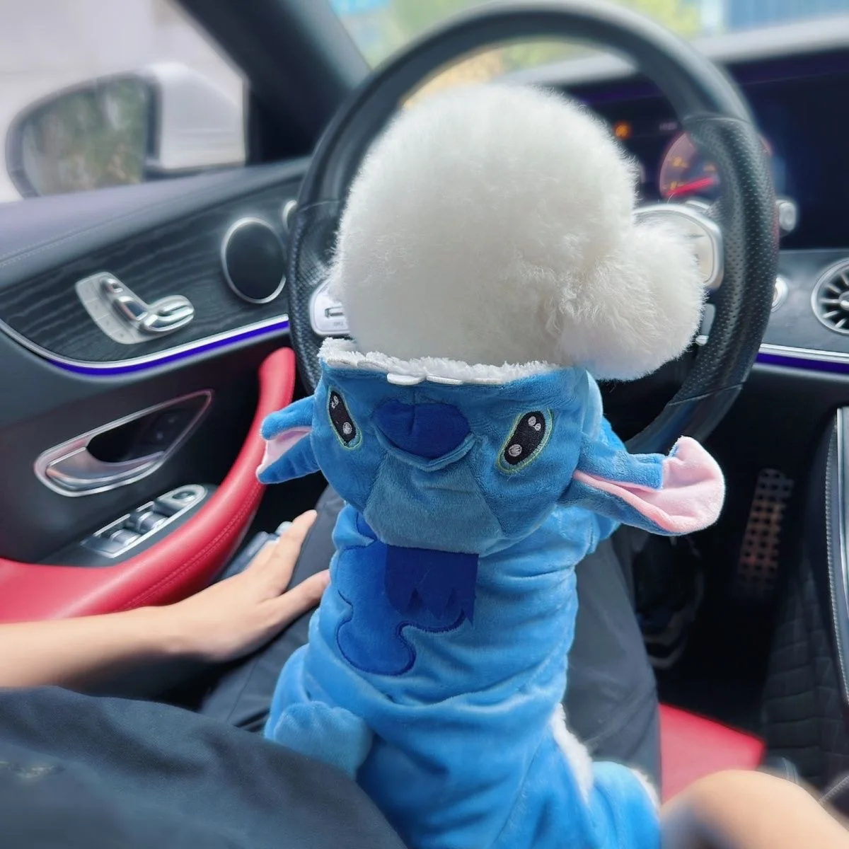 Anime Cartoon Leuke Lilo Stitch Huisdier Kostuum Kat Hond Transformeren Pluche Gevoerde Snap Jas Vierpotige Kleding Verrassingscadeau voor Fans