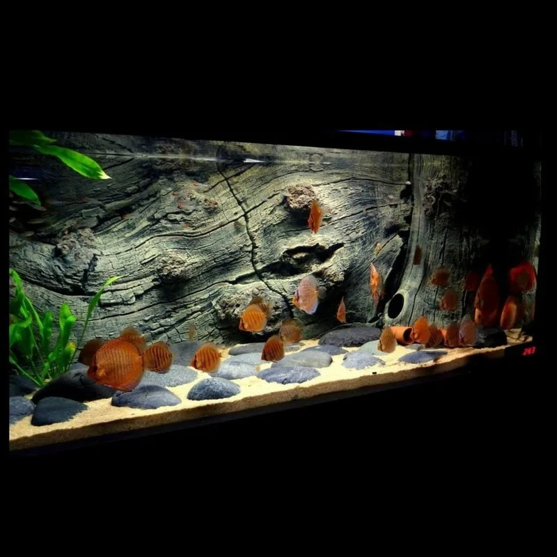 3D aquarium background board three-dimensional landscaping material in the fish tank