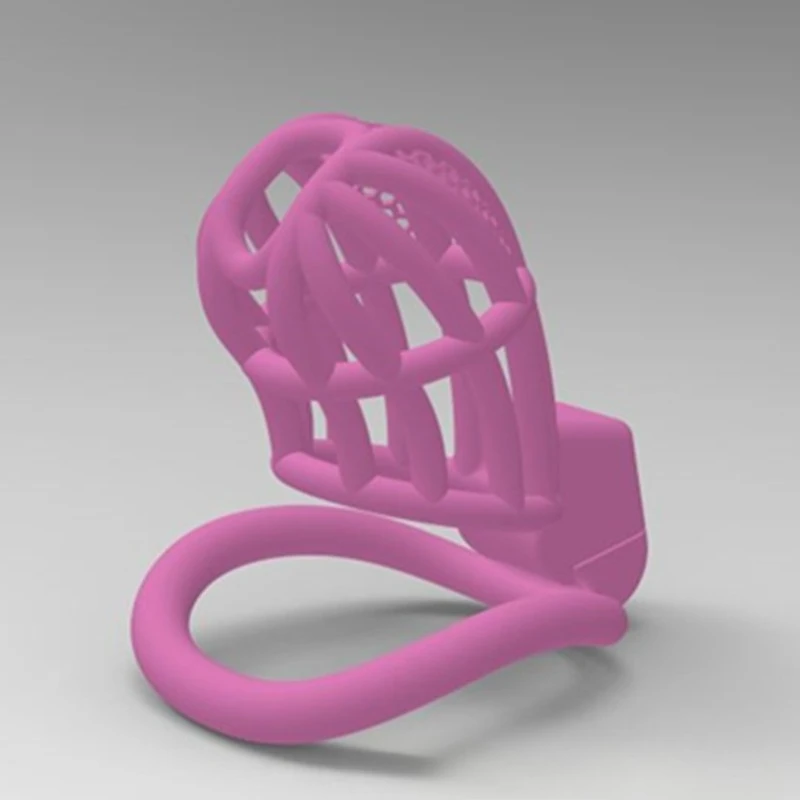 Chastity Lock Cock Cage Invisible Lock with 4 Arc Ring Testicle Chastity Belt BDSM Toy Hentai Bondage SexToy Adult toys for Men - view 2