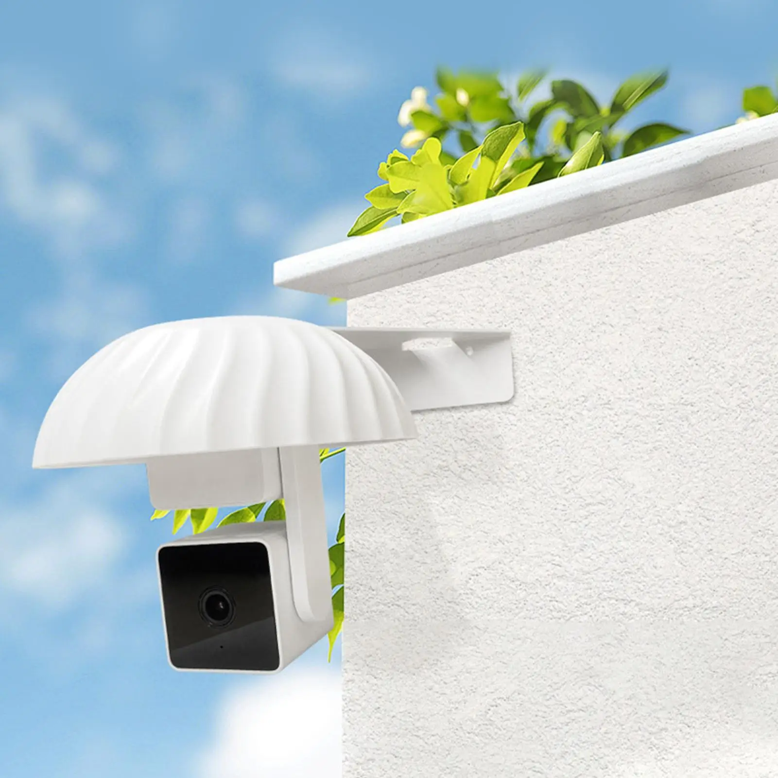 Snow Protection For…