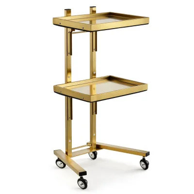 

Modern Golden Hair Salon Stainless Steel Beauty Stool Cart Trolley for Sale