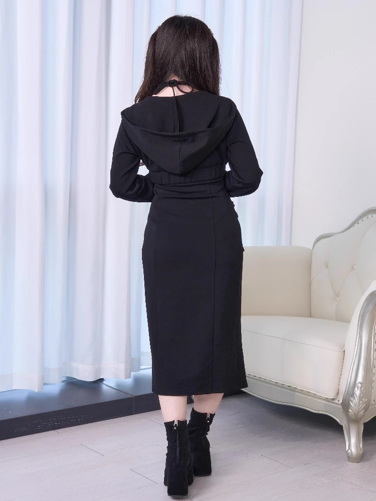 النمط الياباني الإنتاج الضخم فستان بكتافة مجموعات سستة طويلة الأكمام مقنعين البلوز القصير سبليت Bodycon فستان قطعتين مجموعة النساء #3