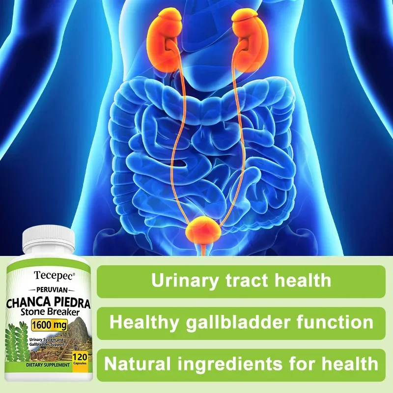 Chanca Piedra 1600 mg - Urinary Tract Health, Healthy Gallbladder Function, Kidney Stone Crusher Support