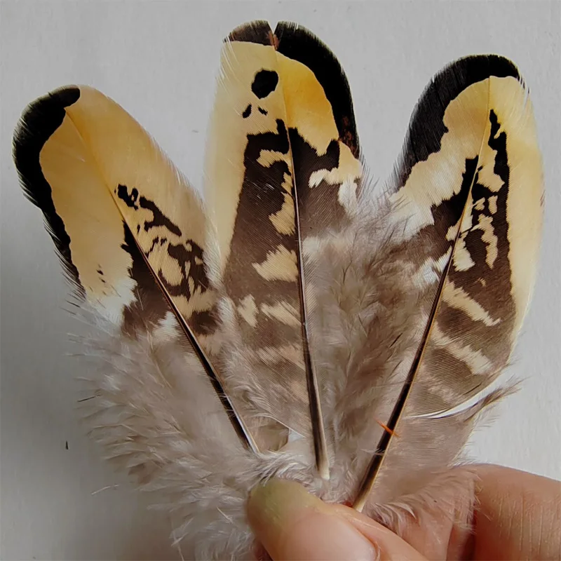50Pcs/Lot  Nature Brown&Yellow REEVES VENERY PHEASANT WING FEATHERS,Loose Reeves Quill Feathers,plumas para manualidades