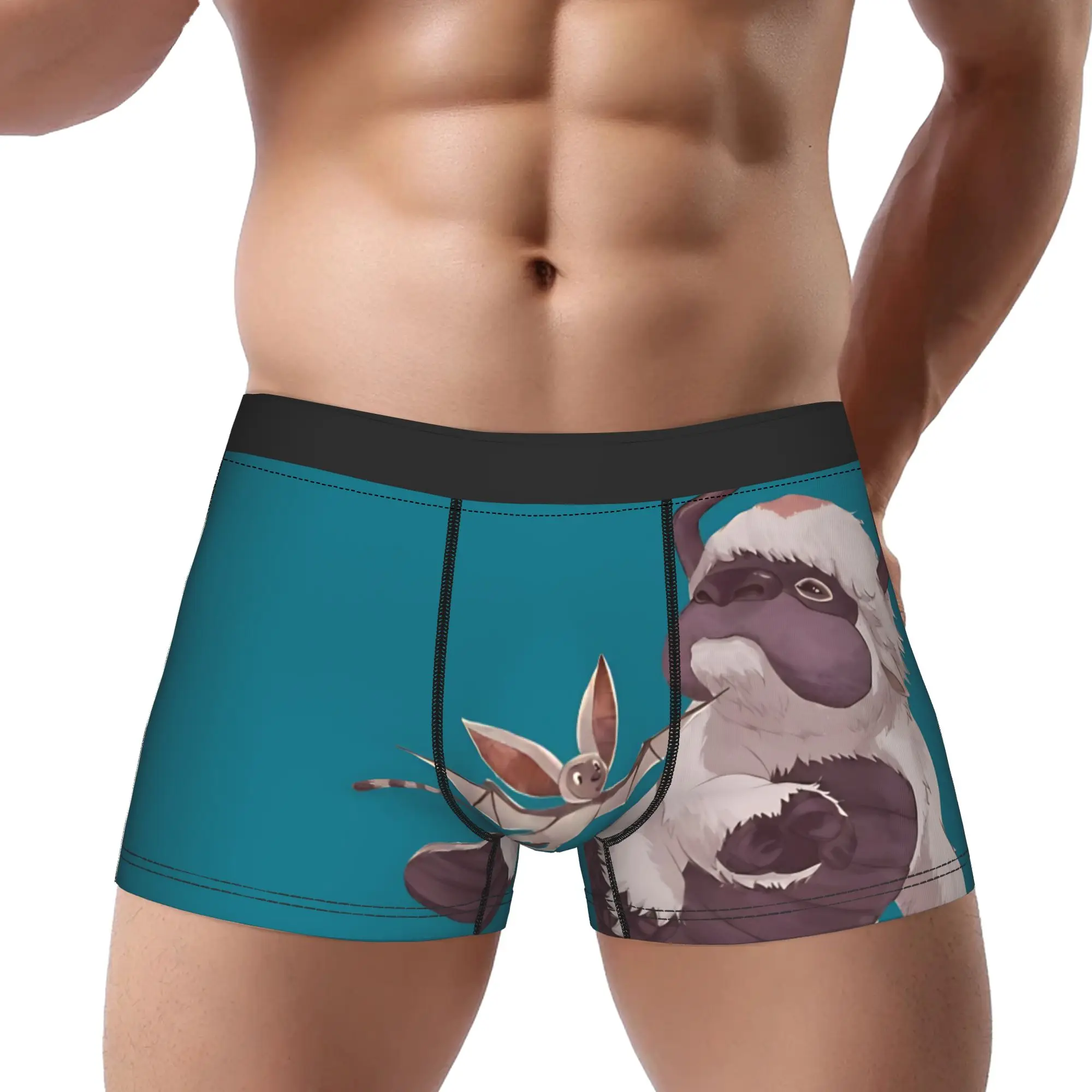 

Трусы-боксеры Appa and Momo Flying Buddies Avatar Anime, дышащие, вентилируемые, мужские, аниме-трусы