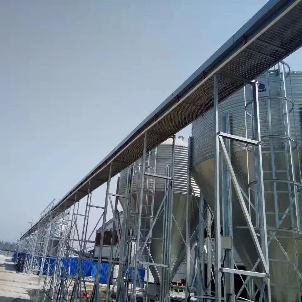 Equipamento de frango de corte automático, estilo industrial profissional, casa de contêiner de frango