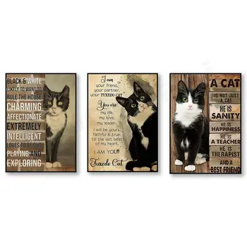 6 best sales टक्सीडो बिल्ली - №5