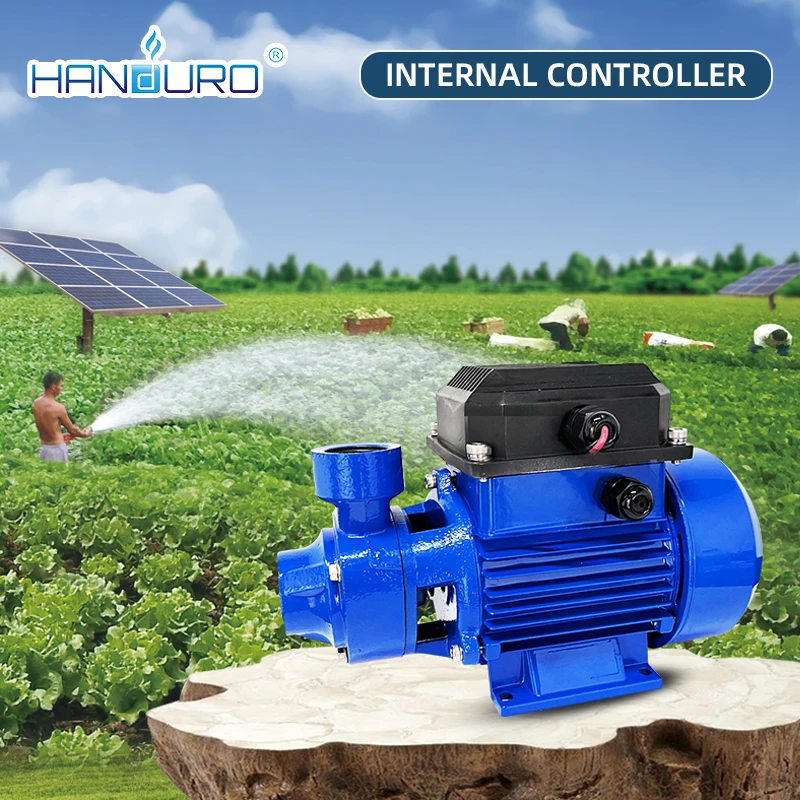 Agriculture 96V 1H p Dc Brushless Motor Surface Solar Water Pump