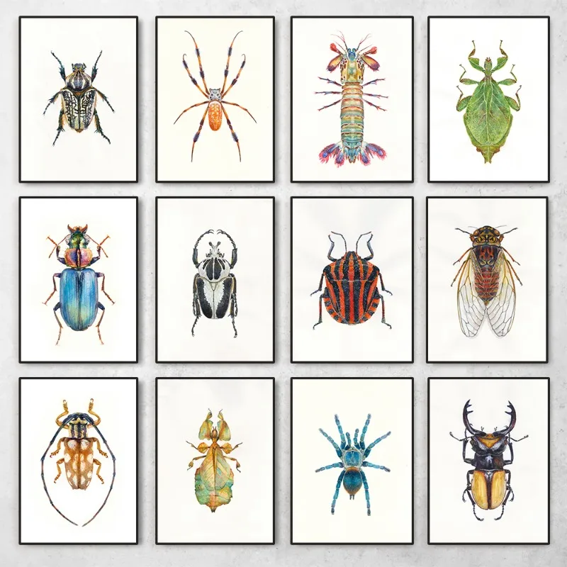Insect Beetle Collection Retro Poster Spider Fly Canvas Painting and Prints Wall Art Picture for Living Room Home Decoration