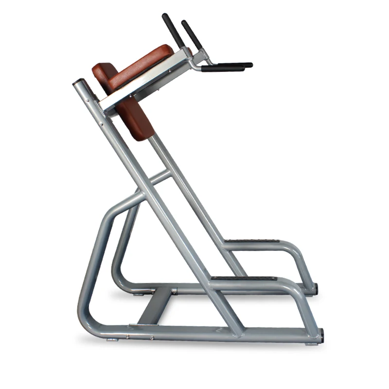 Commercial leg raise fitness equipment dip/chin assist/chin up dip station