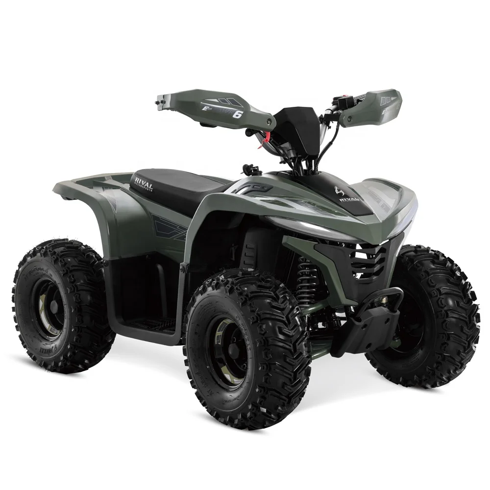 Motor 2026 Latest Design Wholesale Automatic Shaft Drive Adult and Teenage ATV Electric ATV 4x2 with CE