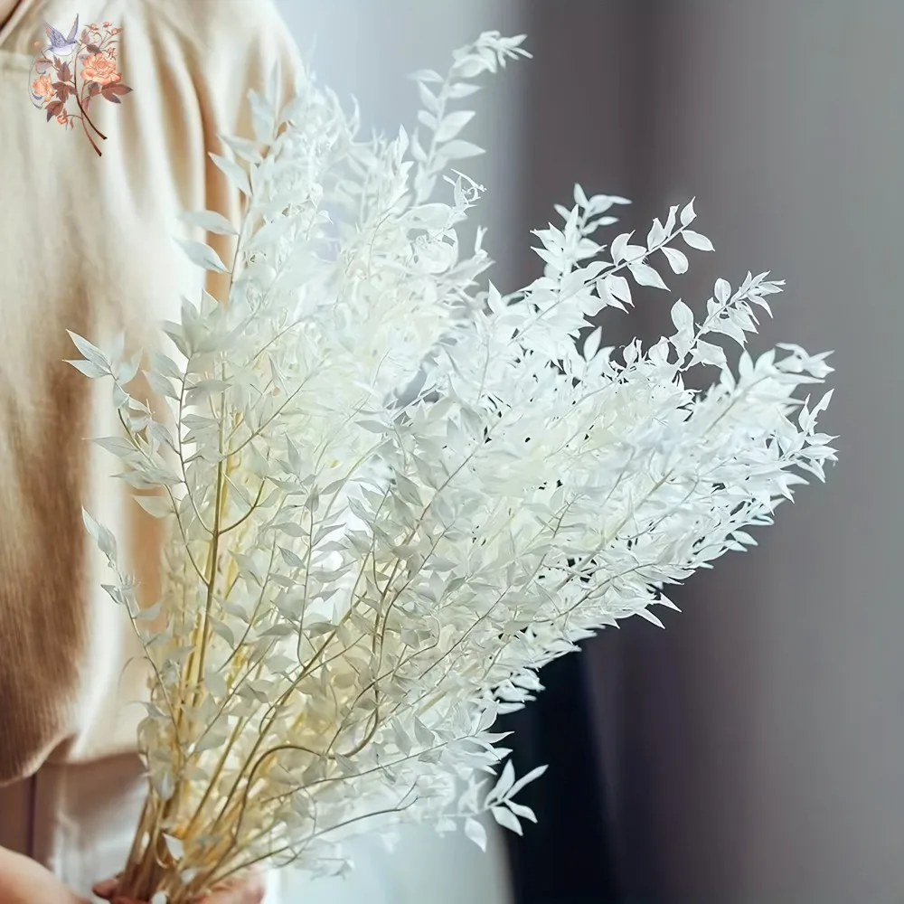 40g White Ruscus Leaf Dried Flowers Christmas Wedding Decor Preserved Eucalyptus Leaves Nordic Home Table Vases DIY Arrangements