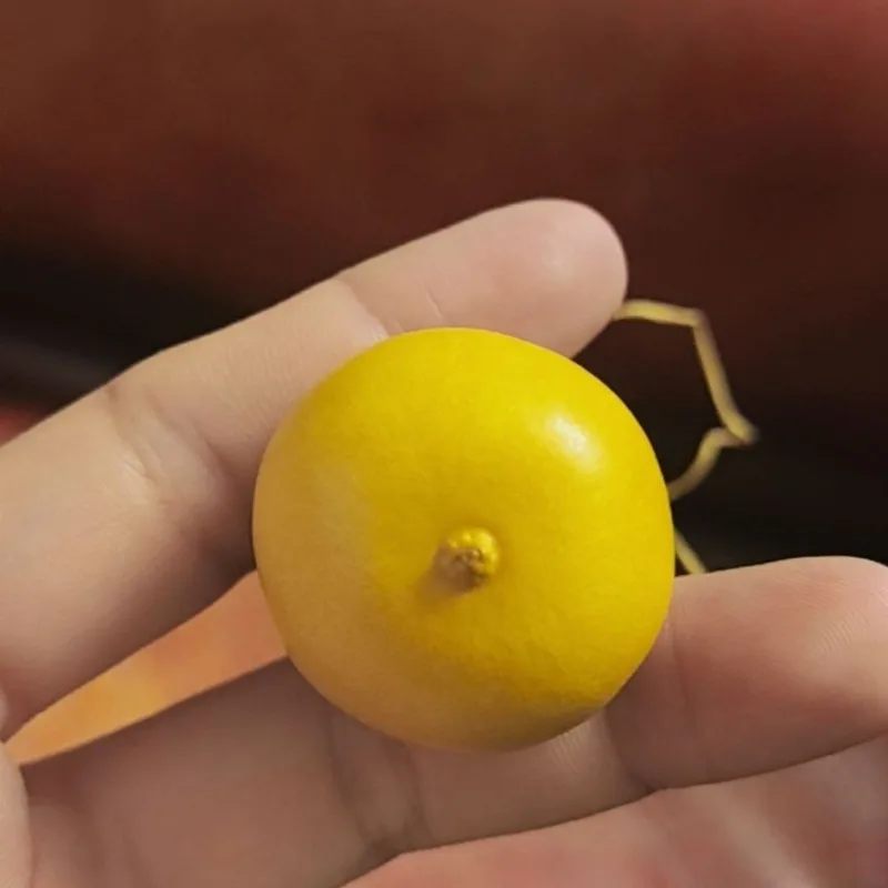 Boutique Acht Schätze Kürbis