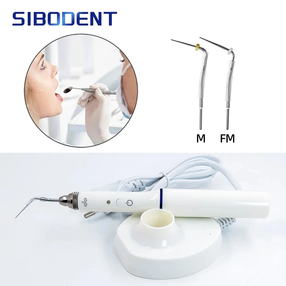 Dental Gutta Percha Obturation System Endodontics Root Tool Endo Gutta Dental Heating Pen With 2 Tips Dentistry Lab Equipment