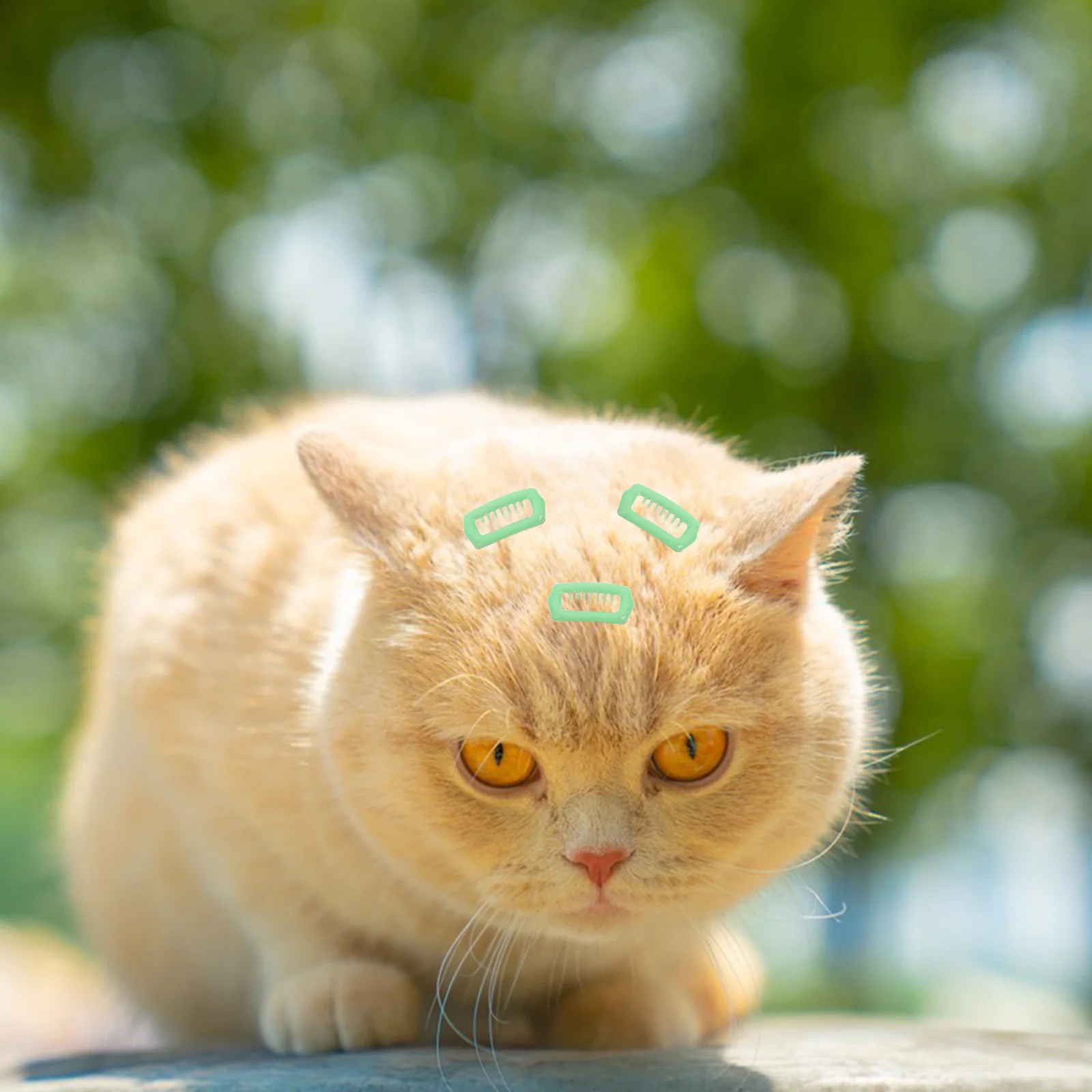 

5Pcs Pet Grooming Hair Clips Dog Clips Small Decorative Barrettes Hair Accessories for Dogs Cats Puppies Maltese Yorkshire