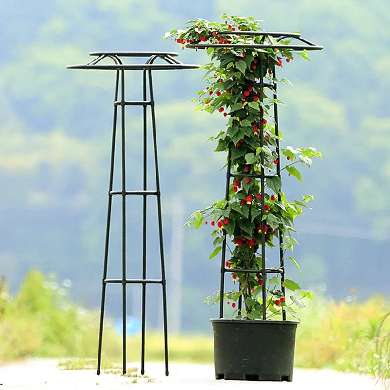 Gardening umbrella flower stand Rose plant flower Umbrella bracket Climbing vine  Flower  Umbrella