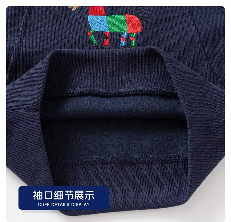 2026 Herbst Jungen Hoodies 1-8 Jahre Cartoon Pony Stickerei Kinder O-Neck Sweatshirts Baby Lockerer Freizeitpullover Kinder Mäntel – Detail 5