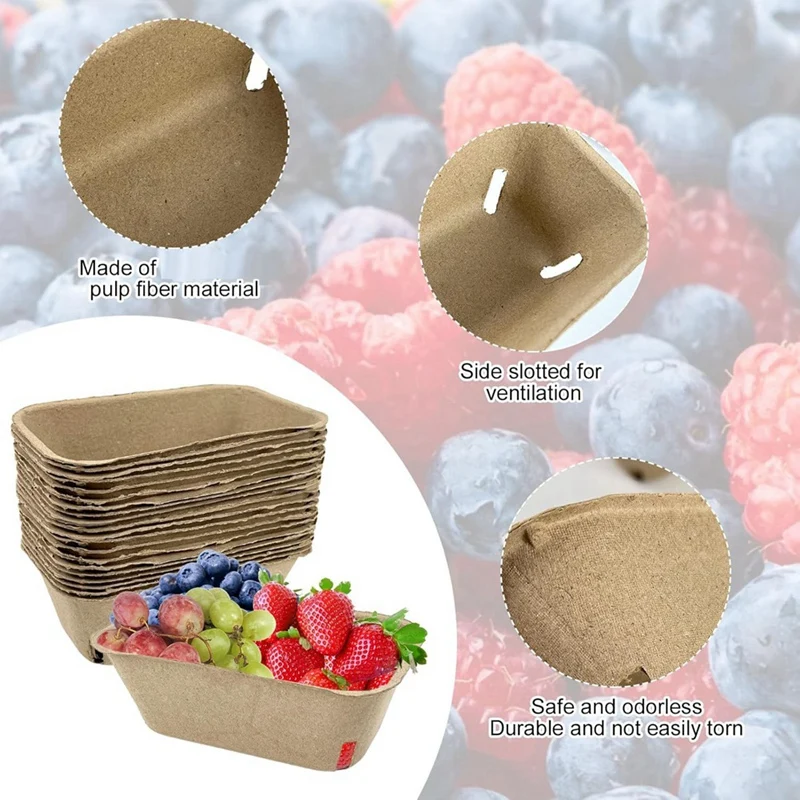 Mir de baie en fibre de pulpe pour la cueillette de fruits, panier de baie moulé pour myrtille et framboise, aucun Harvey, paquet de 50