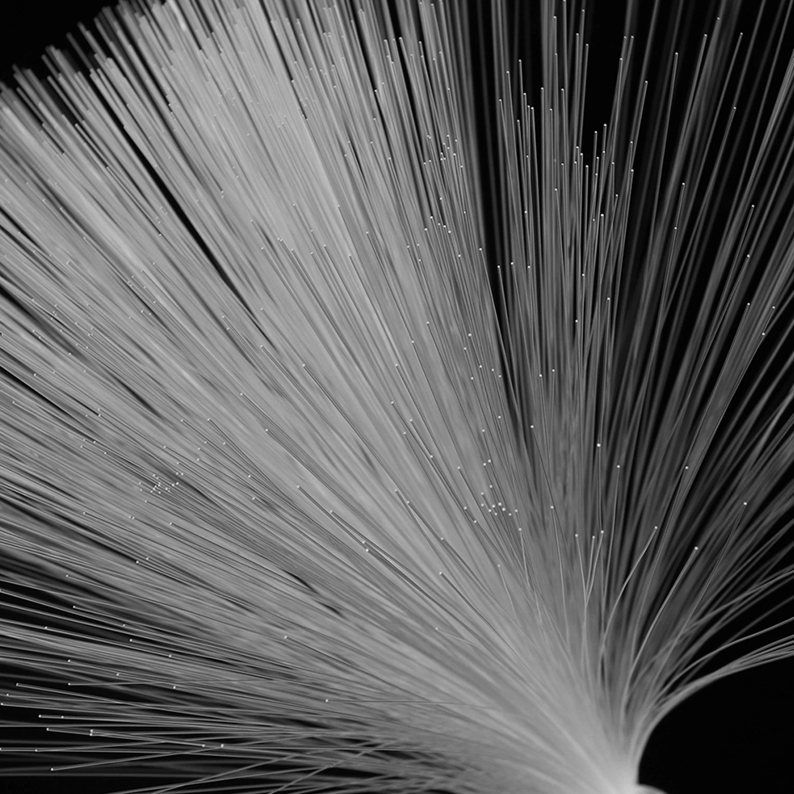 4 قطعة LED الألياف البصرية مصباح اللون تغيير تأثير الإضاءة الزخرفية لحفل عشاء غرفة نوم المنزل الألياف البصرية الخفيفة