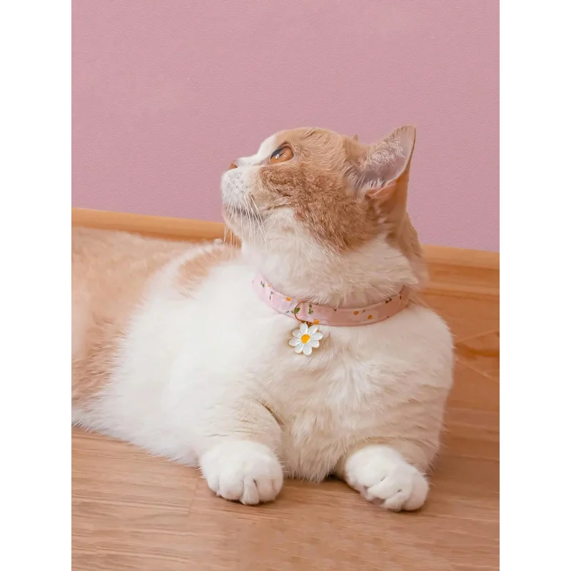 Rosa Haustier-Halsband mit Blumenanhänger und Glocke Verstellbares Katzen- und Hundehalsband Niedliches Welpen- und Kätzchen-Sicherheitshalsband