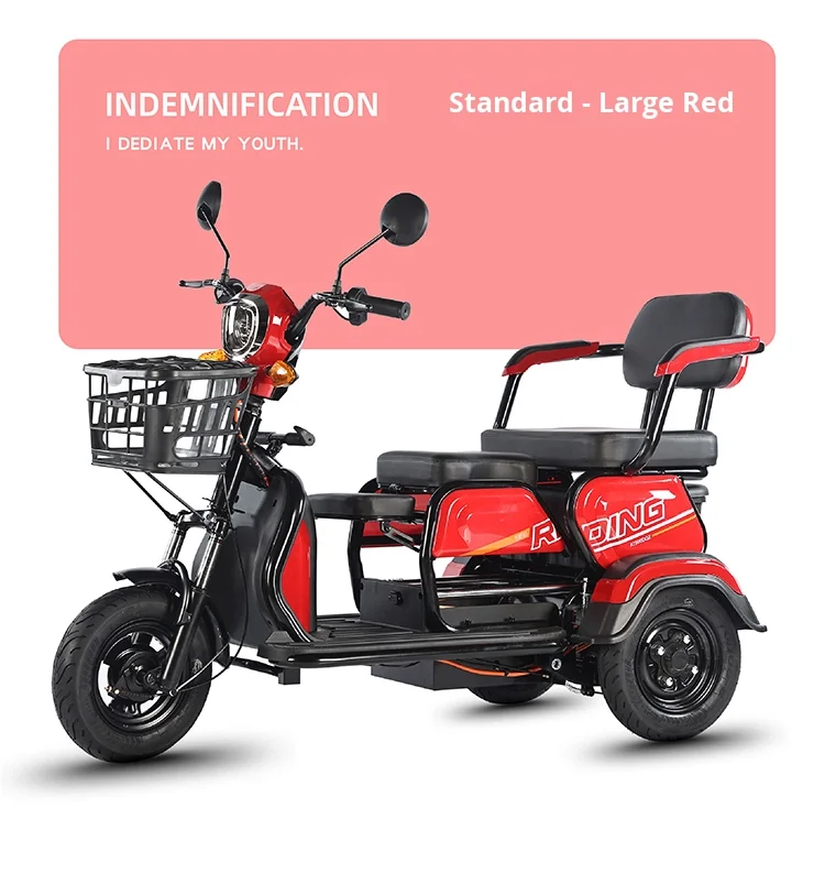 

600W 800W 1000W electric tricycle household small scooter three-seat adjustable electric tricycle 2-person tricycle