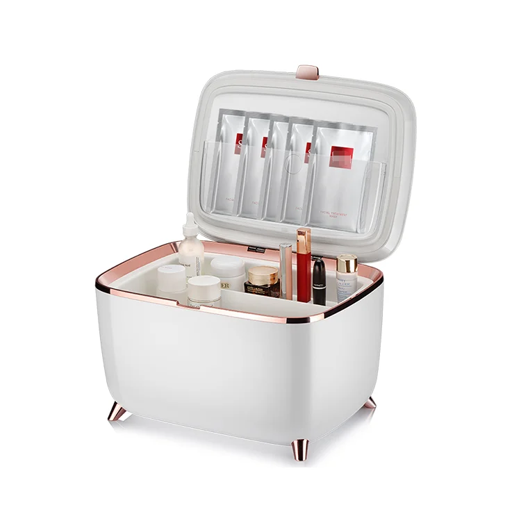 Portable  Cosmetic Fridge 9l Skin Care Fridge Cosmetic Beauty Refrigerator Mini Fridge