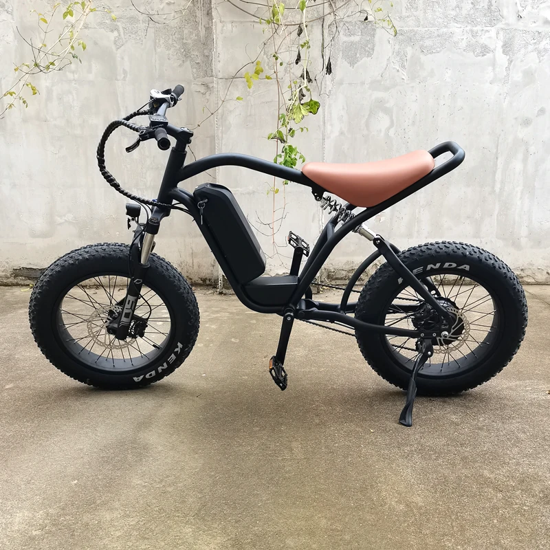 Source Factory OEM Electric Bicycle Mountain Ebike 20 Inch Fatbike 1000w Motor