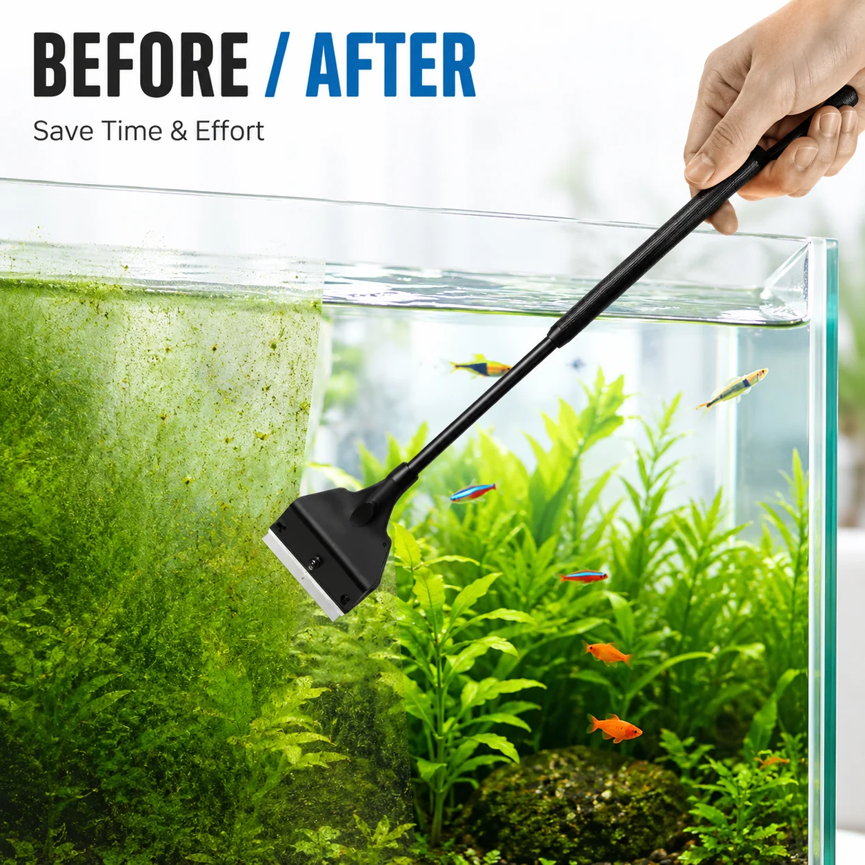 Aquarium Planted Sand - Fish Tank Glass Algae Scraper Flat