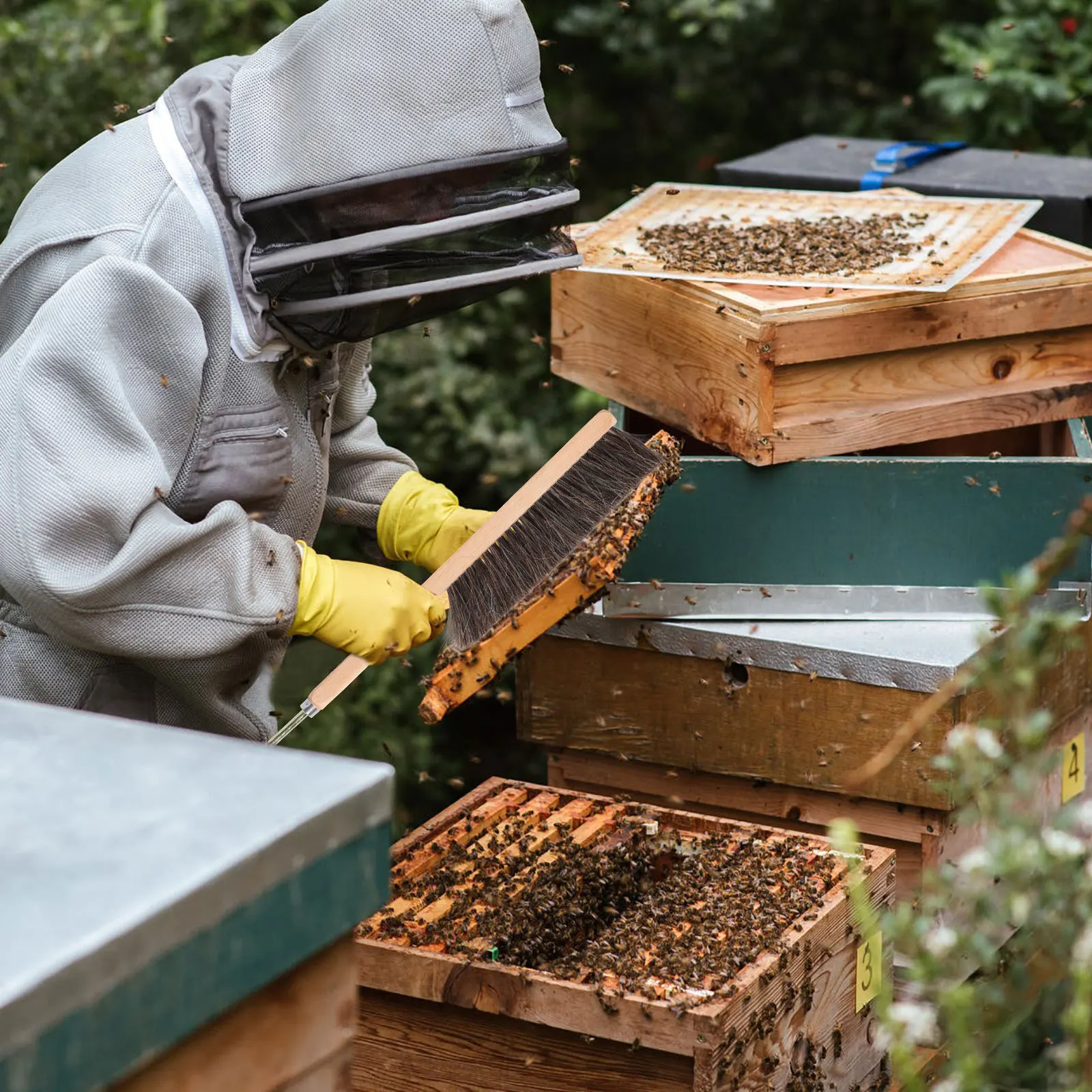 معدات تربية النحل بمقبض خشبي، شعيرات متينة آمنة للنحل، حجم صغير، سهل الحمل، عمر خدمة طويل