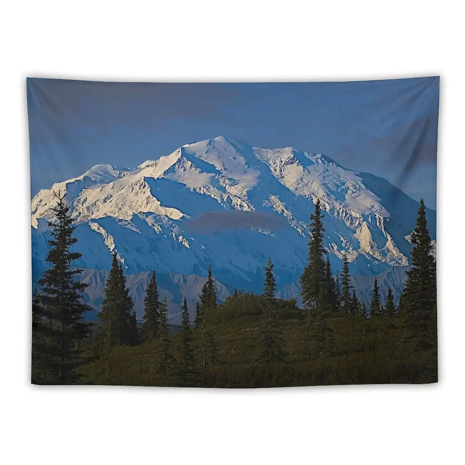 Denali National Park Preserve Tapestry Room Decorating Aesthetic Decor For Room Decor Home Bedrooms Decorations Tapestry