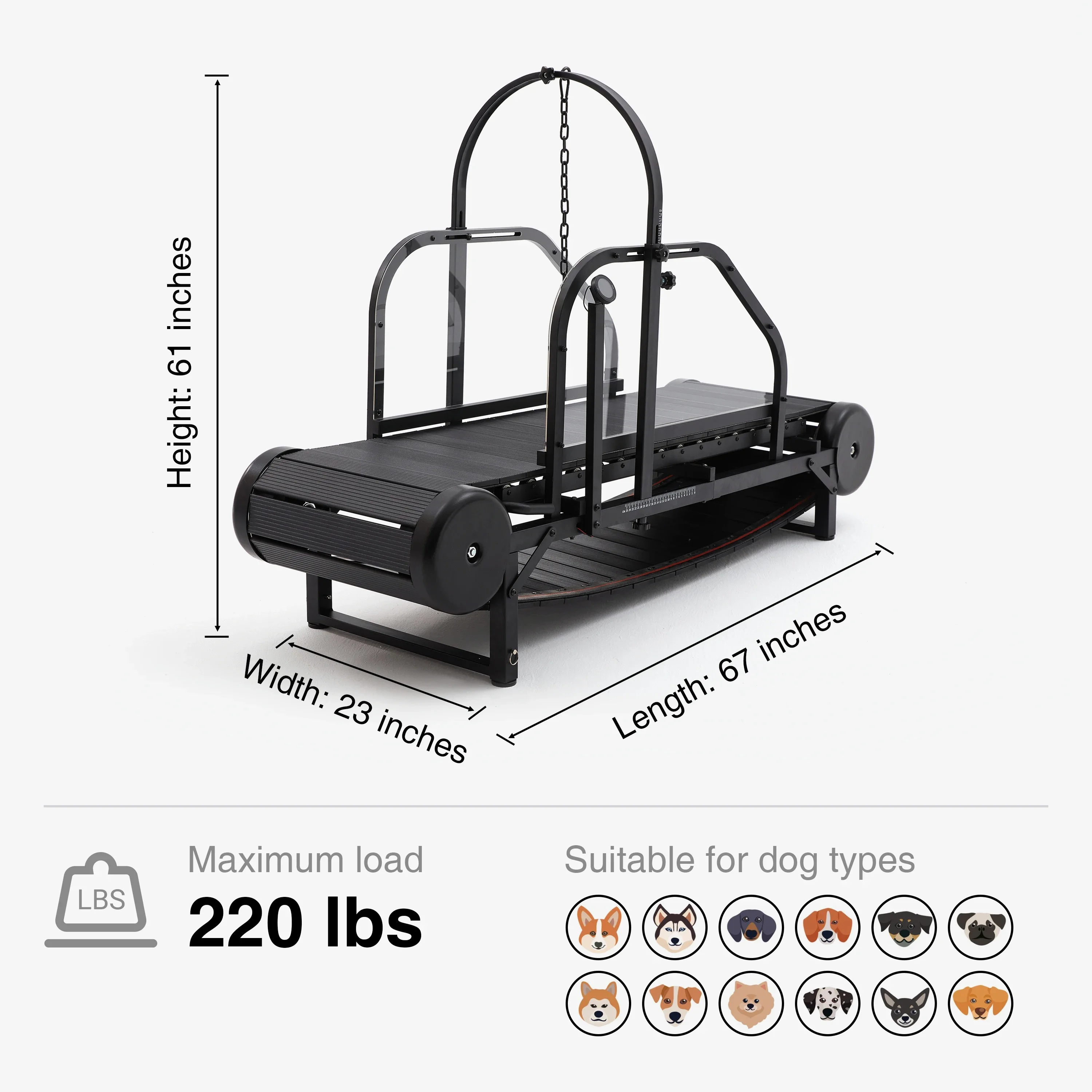 Pet Clinic Equipment Large Dog Treadmill Pet Walking Machine for Big Dogs Pet Training Supplies