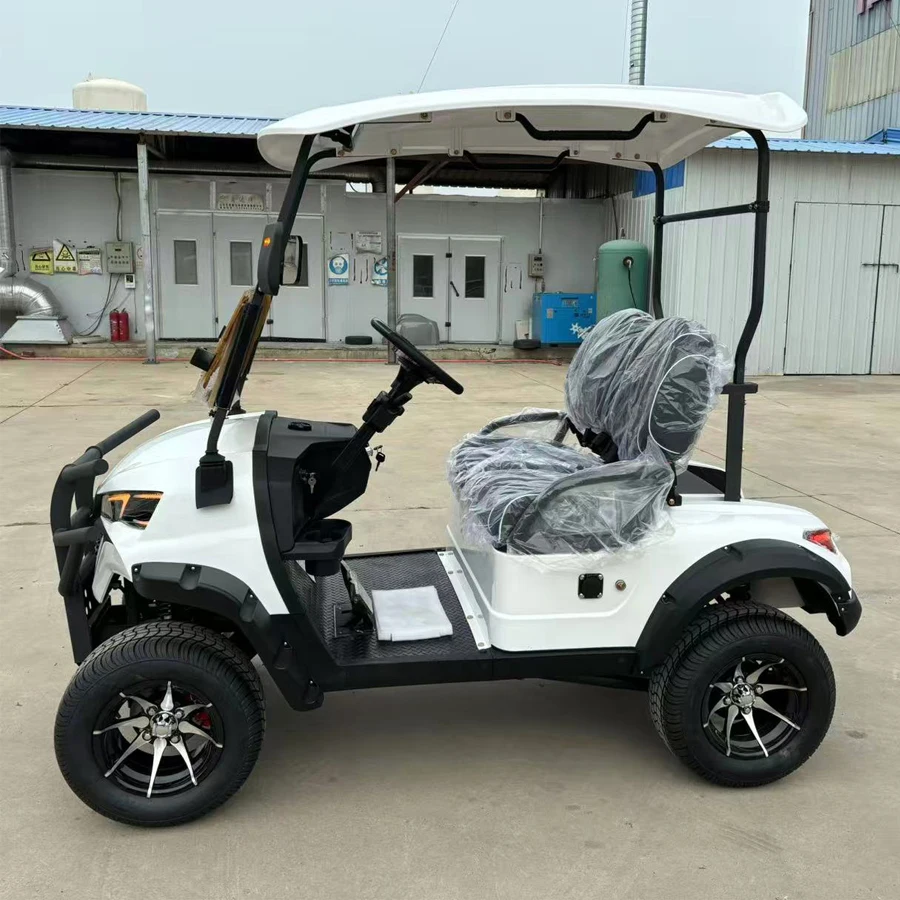 المبيعات الساخنة عالية السرعة للتخصيص جولف سيارة سكوتر 2 4 6 8 مقاعد 4000 واط/70000 واط 48 فولت/72 فولت موتور على الطرق الوعرة عربة جولف كهربائية #6